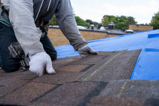 Best Metal Roofing Contractor  in Prairieville, LA